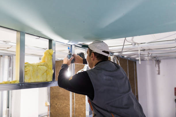 Best Attic Insulation Installation  in Smithville, TN